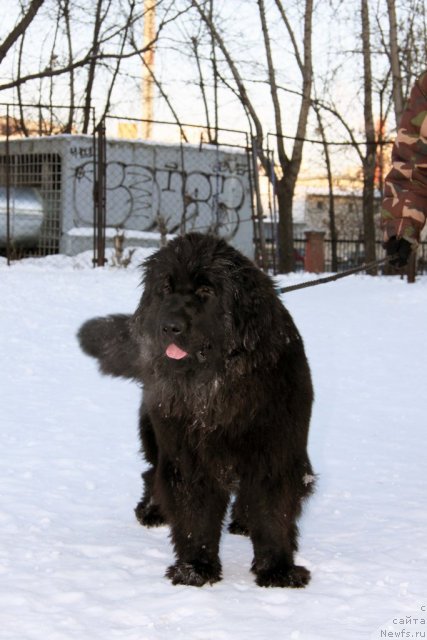 Фотография № 113011