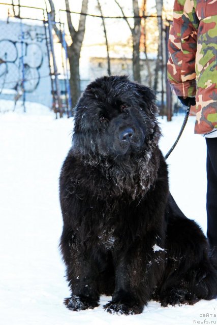 Фотография № 113013