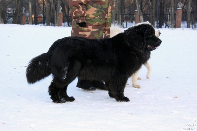 Фотография № 113014