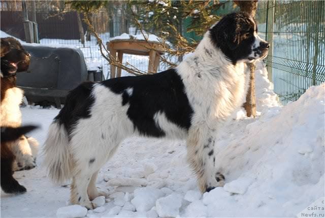 Фотография № 113015