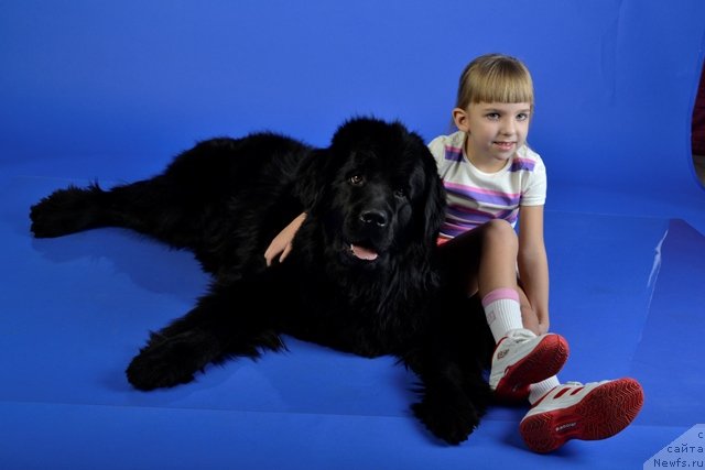 Фотография № 113020