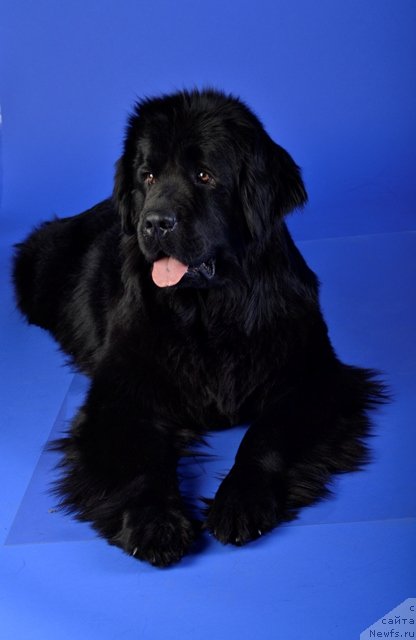 Фотография № 113021