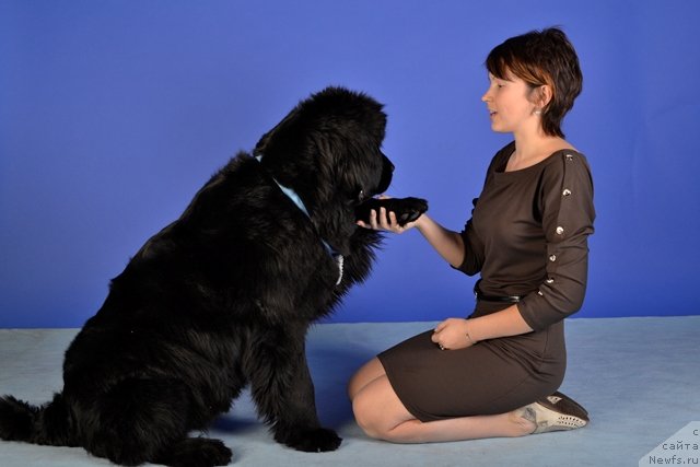 Фотография № 113023