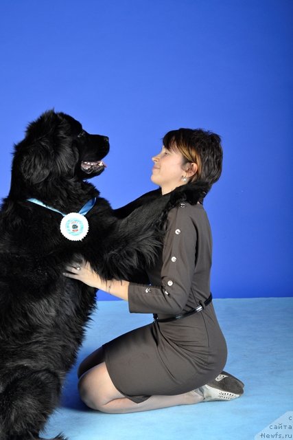 Фотография № 113024