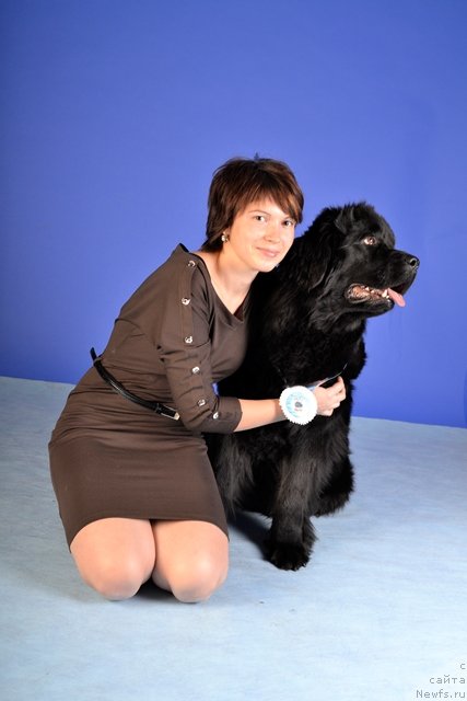 Фотография № 113026