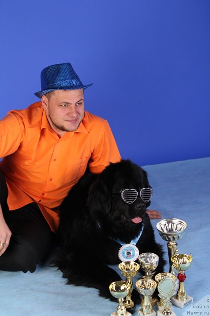 Фотография № 113030