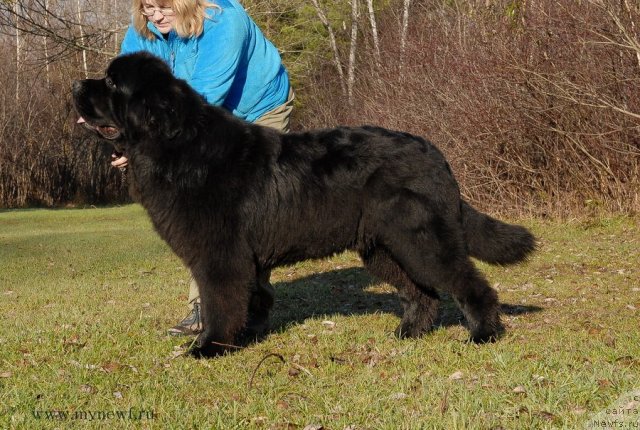 Фотография № 113051