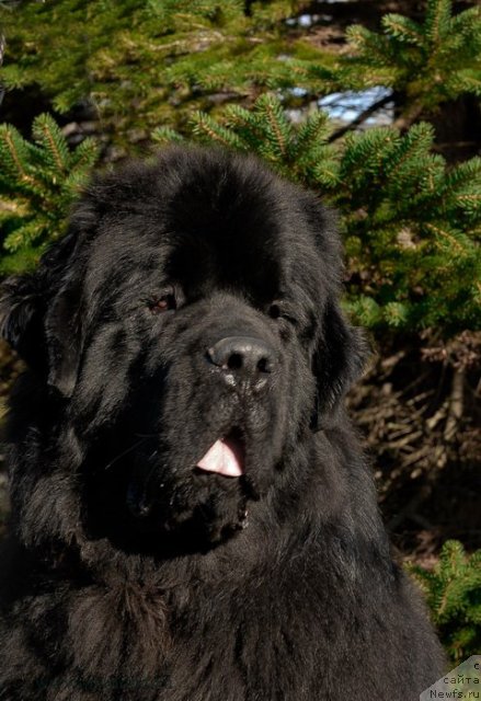 Фотография № 113052