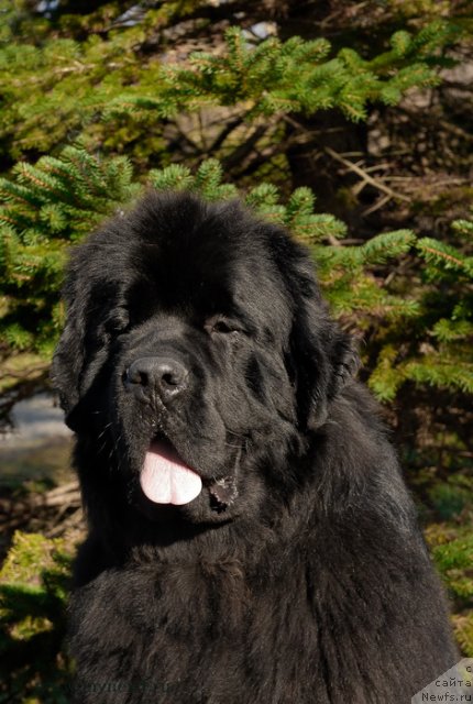 Фотография № 113053