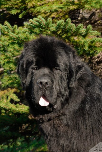 Фотография № 113054