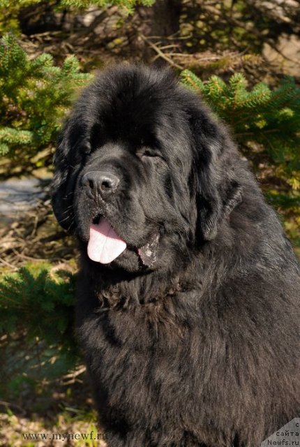 Фотография № 113055