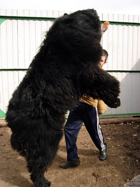 Фотография № 11306