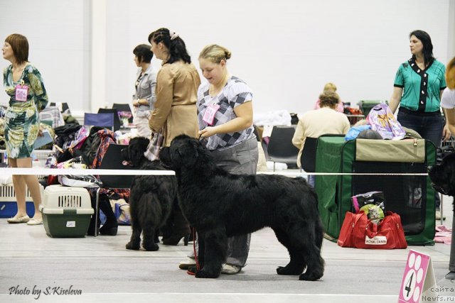 Фотография № 113065