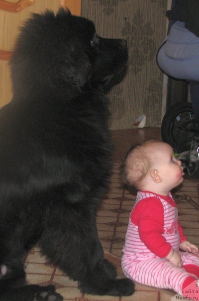 Фотография № 113068