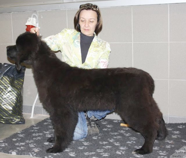 Фотография № 113072