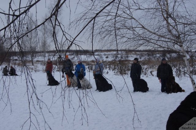 Фотография № 113091