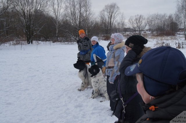 Фотография № 113096