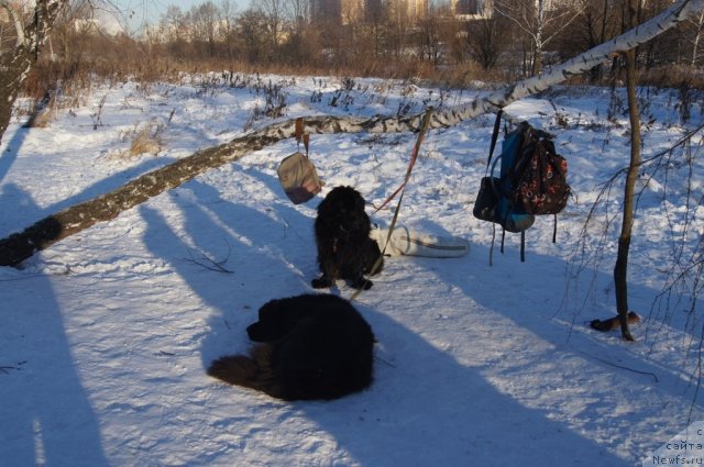 Фотография № 113097