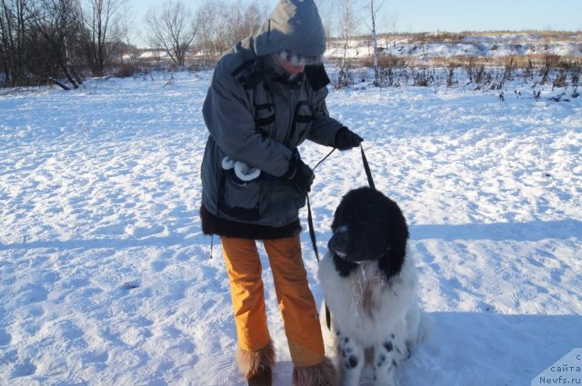 Фотография № 113102