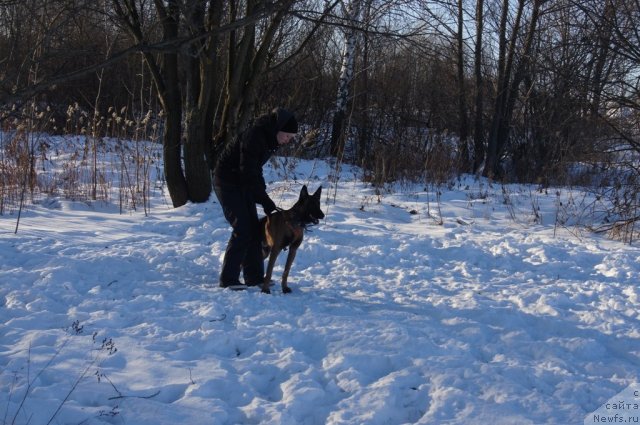 Фотография № 113103