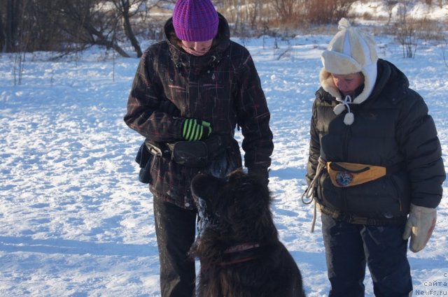 Фотография № 113108