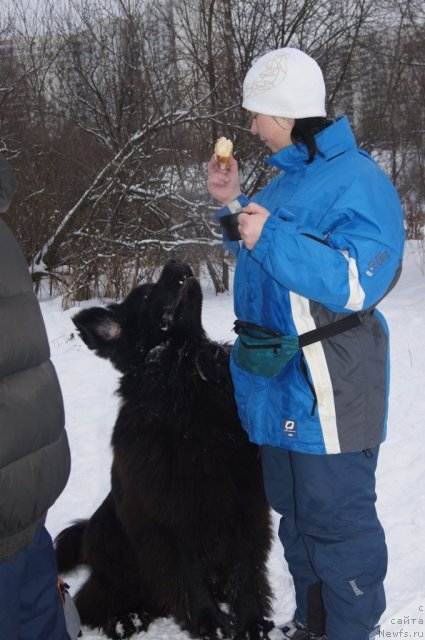 Фотография № 113112