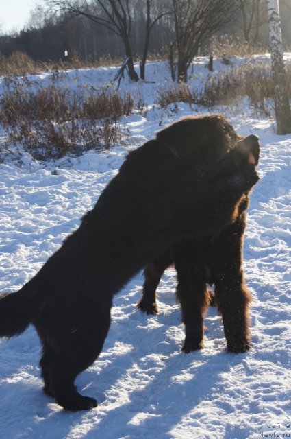 Фотография № 113122