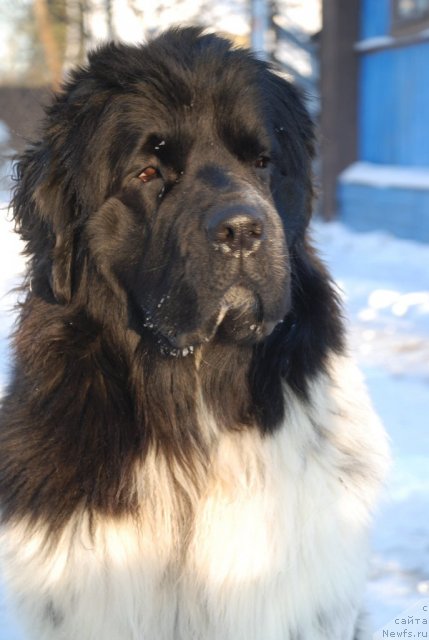 Фотография № 113185