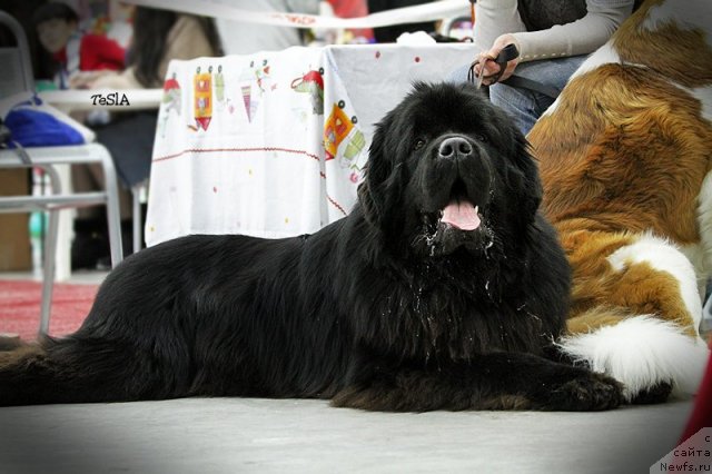 Фотография № 113186