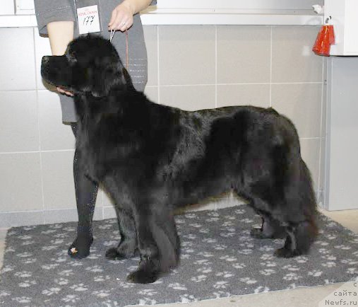 Фотография № 113251