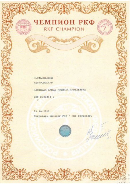 Фото: ньюфаундленд Plushevaya Panda Ustinja Savelevna (Плюшевая Панда Устинья Савельевна)