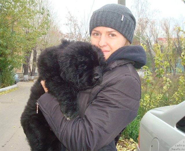 Фотография № 113297