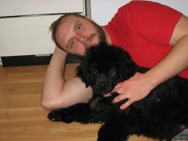 Фотография № 113299