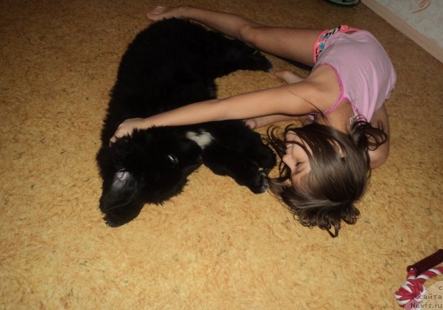 Фотография № 113300