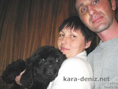 Фото: ньюфаундленд Kaliforniya Kara Deniz (Калифорния Кара Дениз)