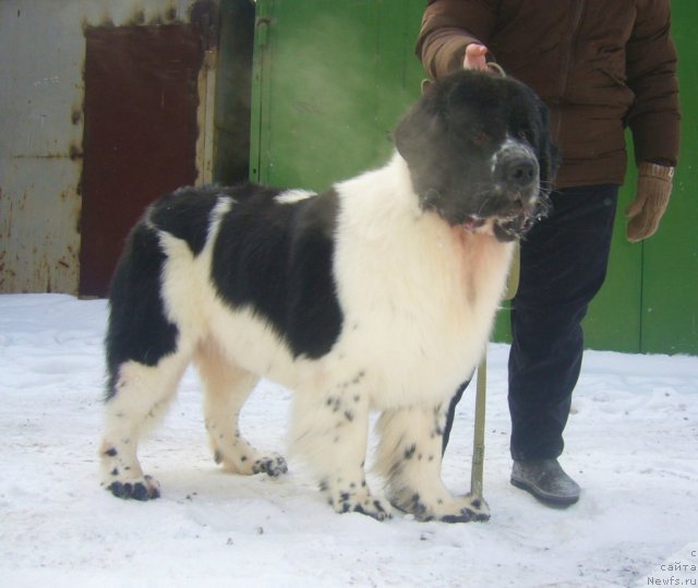 Фотография № 113361