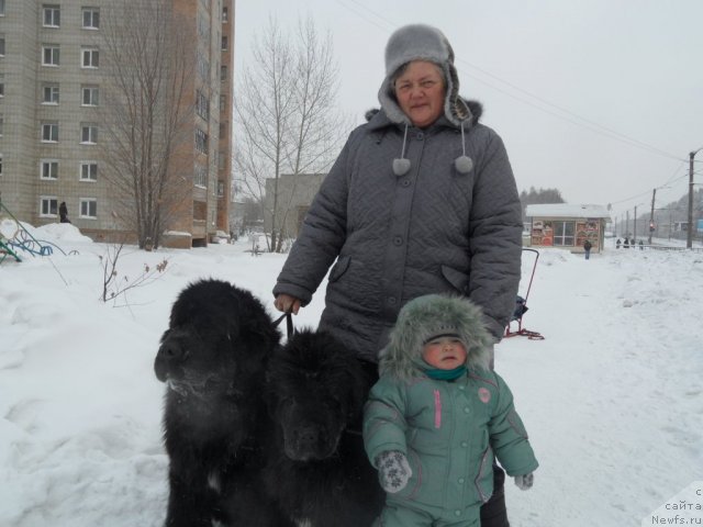 Фотография № 113386