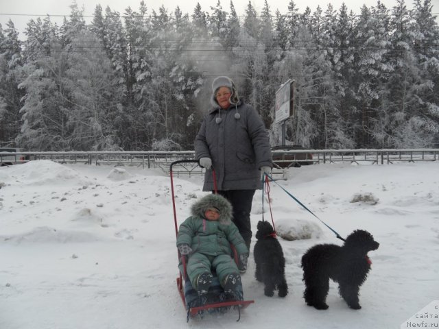 Фотография № 113388