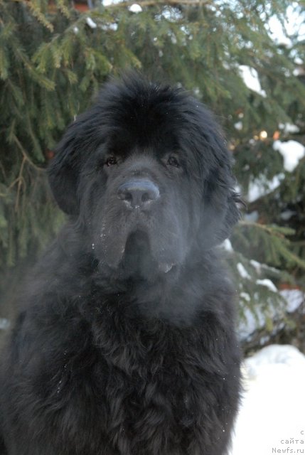 Фотография № 113461