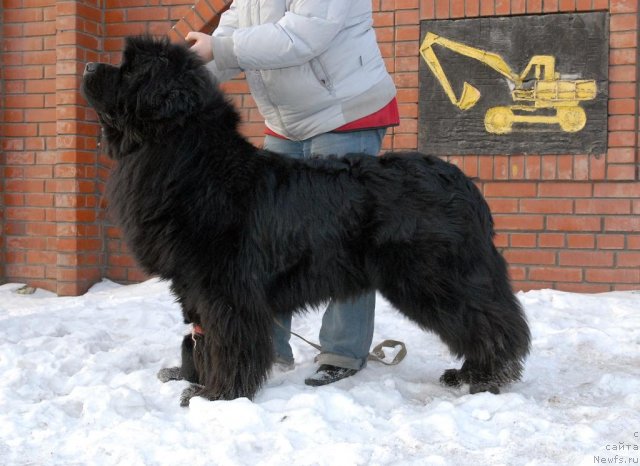 Фотография № 113466