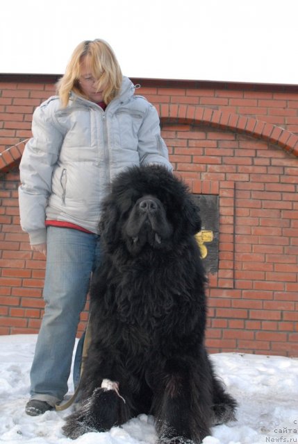 Фотография № 113467