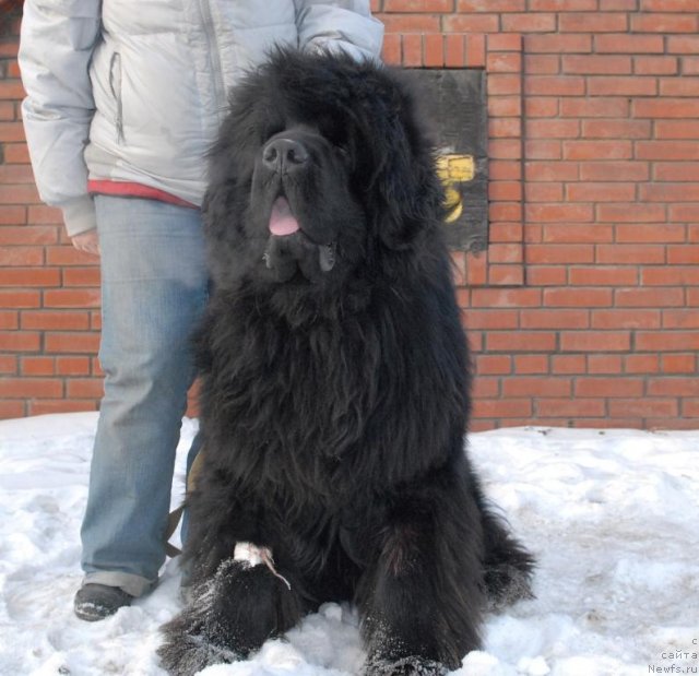 Фотография № 113469