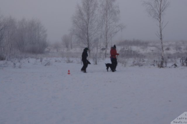 Фотография № 113507