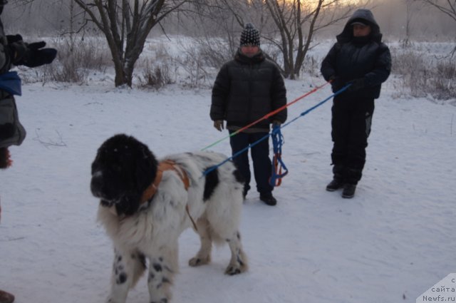 Фотография № 113508