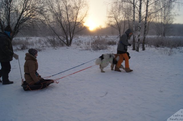 Фотография № 113510