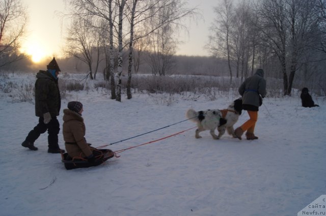 Фотография № 113511