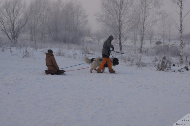 Фотография № 113512