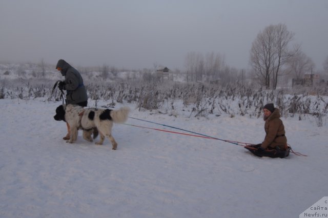 Фотография № 113513