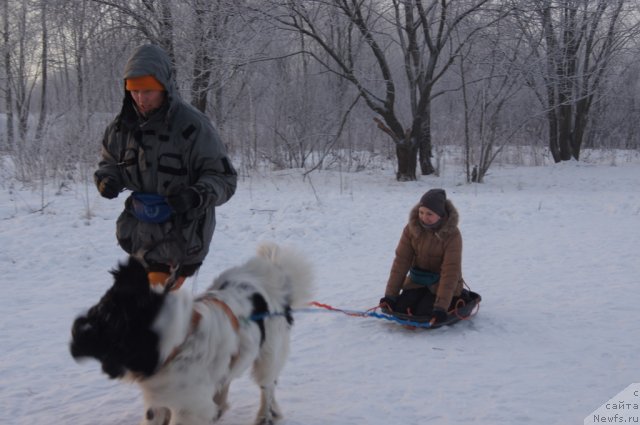 Фотография № 113515