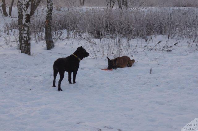 Фотография № 113519